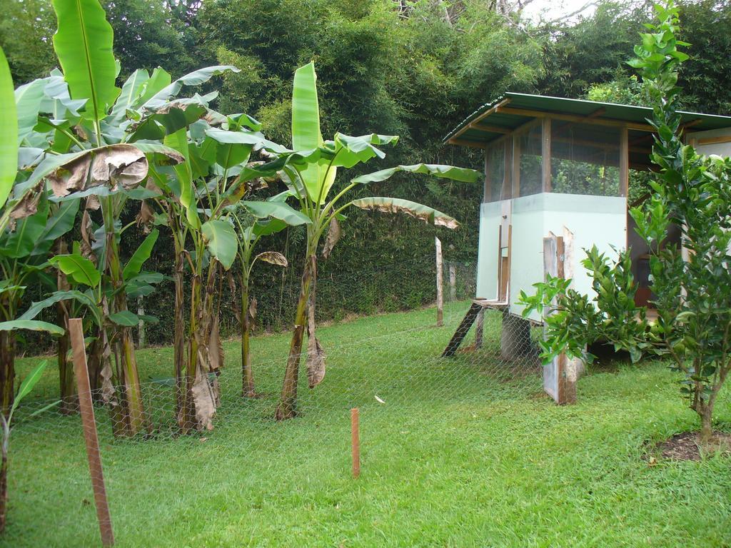 El Paraiso Verde B&B Atenas Extérieur photo