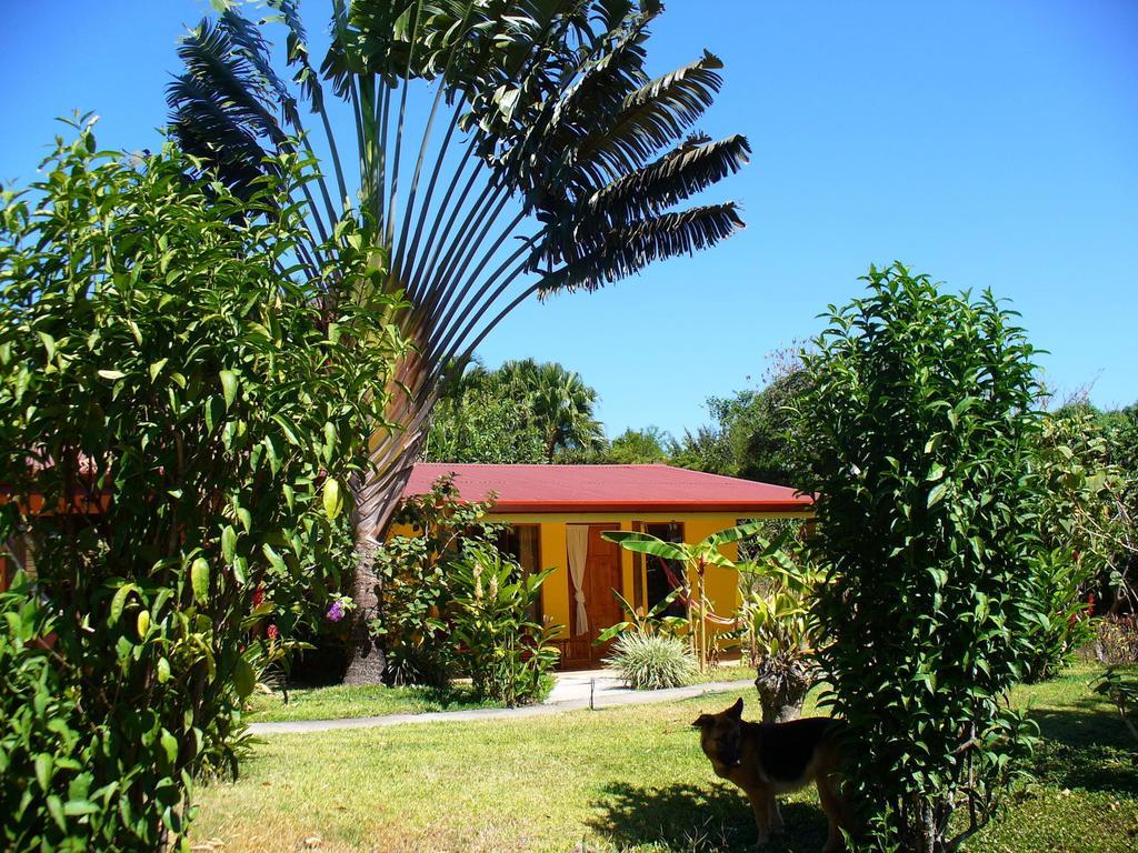 El Paraiso Verde B&B Atenas Chambre photo